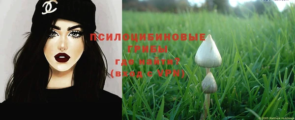 ALPHA-PVP Алексин