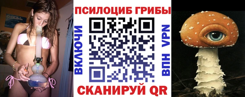 закладка Гвардейск Псилоцибиновые грибы ЛСД